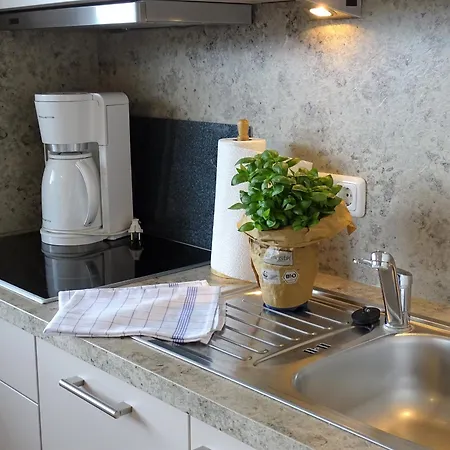 Haus Wildfang 3 アパート ダーメ